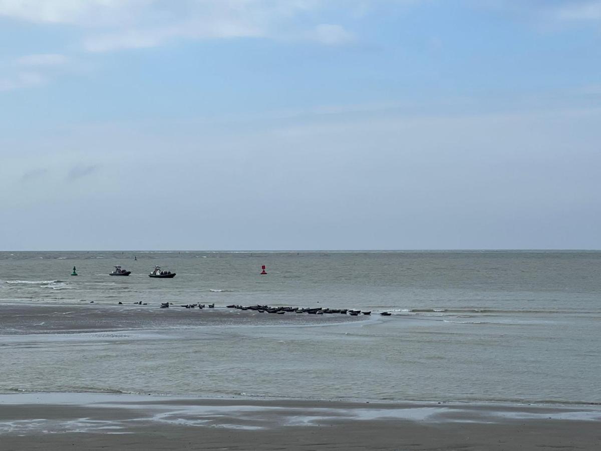 Plage A 50M Appartement Reves Tranquilles Villa Les Bains De Mers Exterior photo